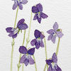 violetyclothes